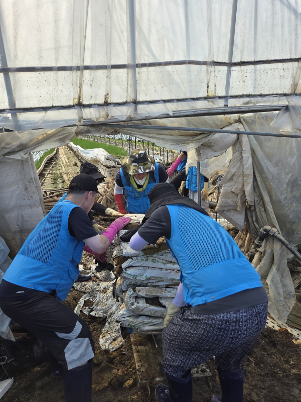 22일, 충남 예산군 삽교읍 성2리 마을을 찾아 극한호우로 피해 농가 복구 봉사 모습