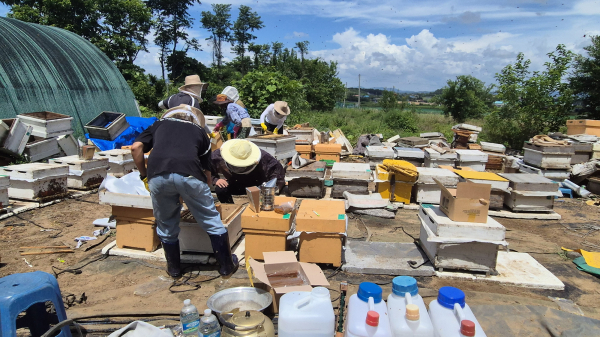 지난 22일 인지면 산동리 소재 양봉농가를 대상으로 한 합동 지원 모습