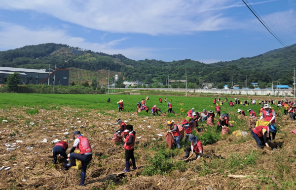 수해 복구 자원봉사 활동 진행 모습