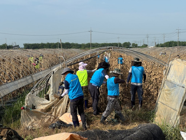 24일 충남 예산군 중예리와 홍성군 금마면 화양리 농촌마을을 찾아 수해복구 봉사 모습