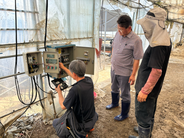 침수 피해 딸기 농가에 전기 안전 컨설팅 지원 모습