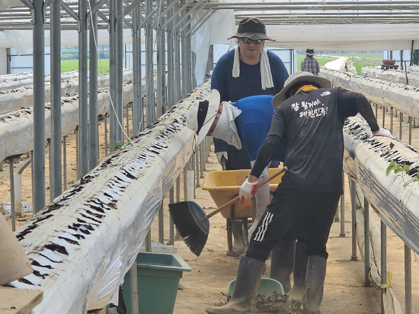 신평면 수해 복구봉사 모습
