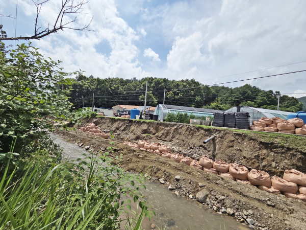 이번 집중호우로 피해를 입은 청양군 대치면 농소천의 모습