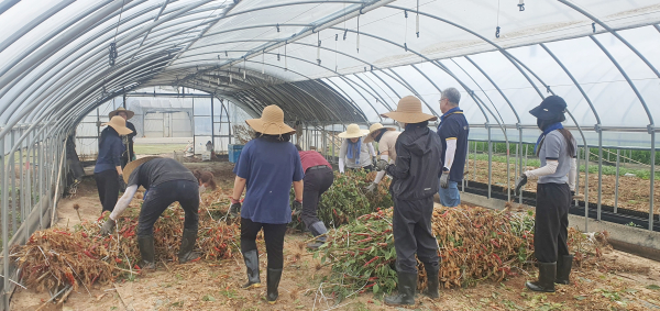 한효진 수해복구 현장 봉사 모습