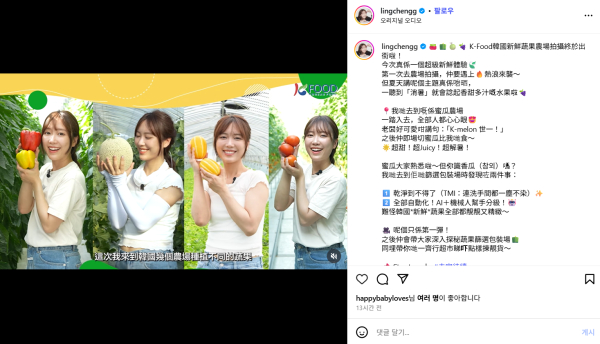 국산 토마토 수확과정을 체험 중인 홍콩 인플루언서