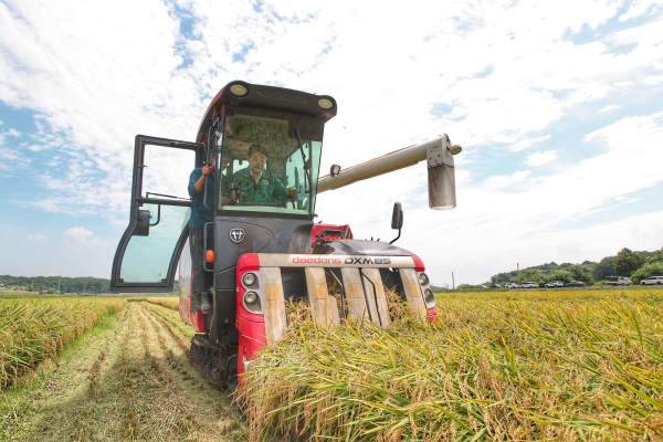 오성환 시장 벼베기 시연 모습