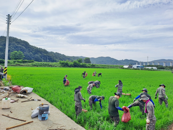 집중호우 피해복구 모습