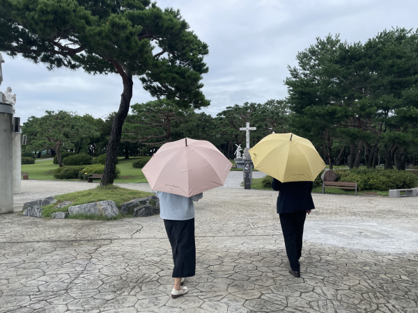 양우산 대여 서비스 이용 사진