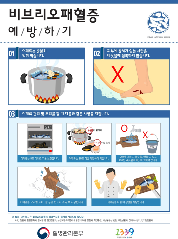 비브리오패혈증 예방 홍보물.