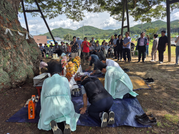 대전 서구 괴곡동 느티나무 목신제 개최 장면