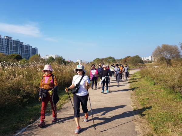 ‘노르딕 워킹’ 교육 참여자들이 노르딕 워킹을 실습하고 있다.
