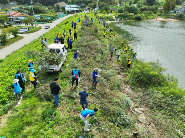 용연저수지 환경정화 진행 모습