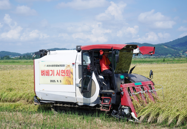 5일 부석면 지산리 1778번지 일원에서 진행된 벼 베기 시연회 모습