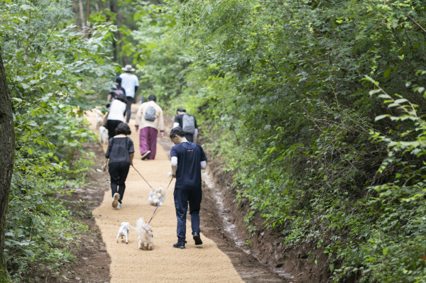 국립양평치유의숲에서 반려인과 반려동물이 향기가 나는 산초나무, 누리장나무, 배초향이 있는 숲길을 걸으며 노즈워킹 숲산책을 하고 있다.