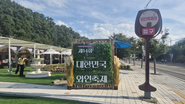 와인축제장 모습