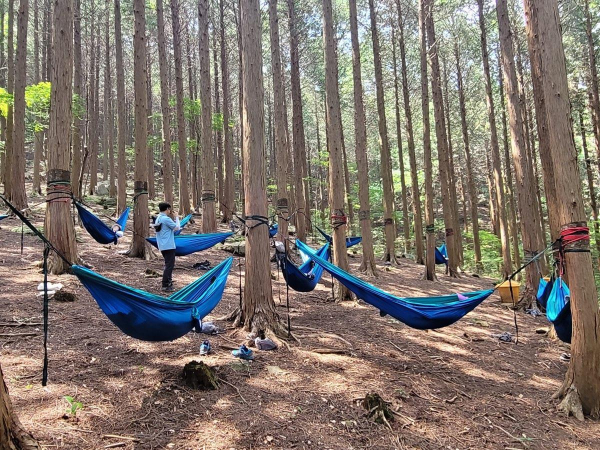 지난 6월 국립장성치유의숲(전남 장성군 서삼면 축령산 일원)에서 사회적 처방을 받은 광산구 지역주민이 산림치유프로그램을 체험하고 있는 모습
