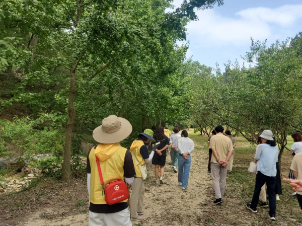 29일부터 30일까지 국립대전숲체원에서‘함께할래 힐링연수’ 진행 모습