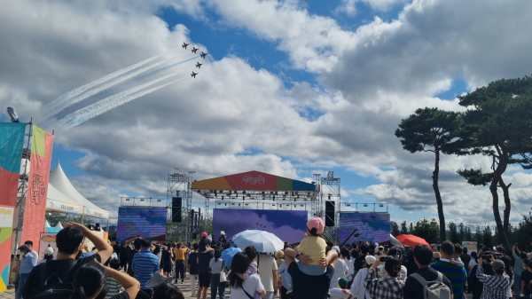 블랙이글스 에어쇼 모습