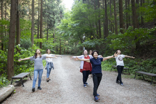 산림치유 프로그램 「비움숲(Forest Healing Meditation)」운영 사진.
