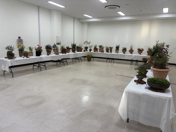 ‘가을꽃 전시회’ 내부. 가을의 색을 담은 다양한 화훼 작품이 전시되어 있다.