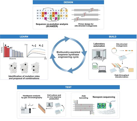 효율적인 바이오촉매 개발을 위한 바이오파운드리 워크플로