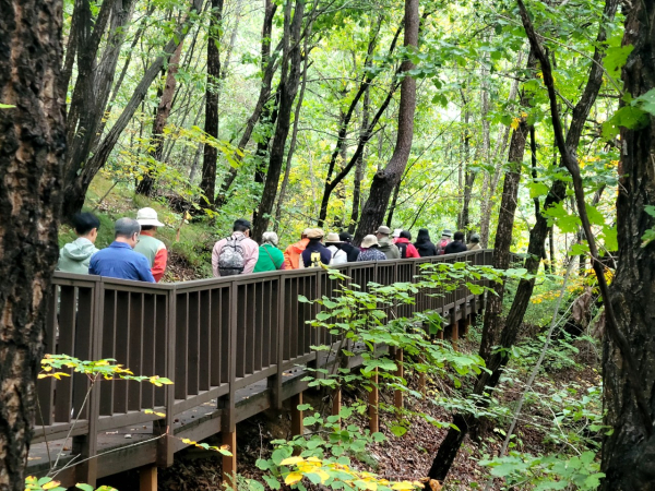 예천-영주-봉화를 잇는 숲여행 콘텐츠 기획 프로그램 진행