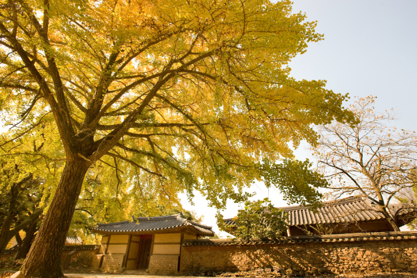 청라 은행마을 모습