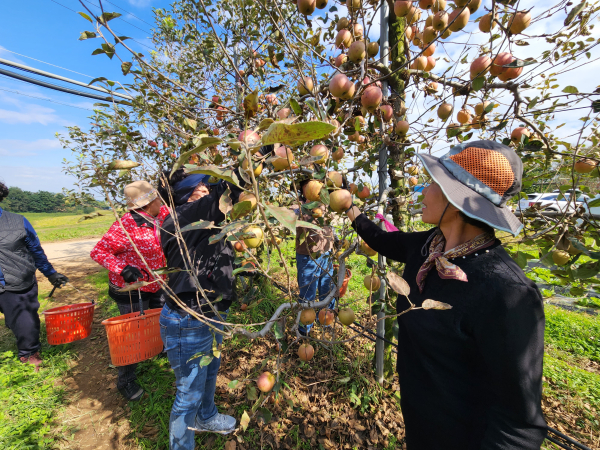 우리농산물 소비촉진을 위한 체험행사 진행 모습