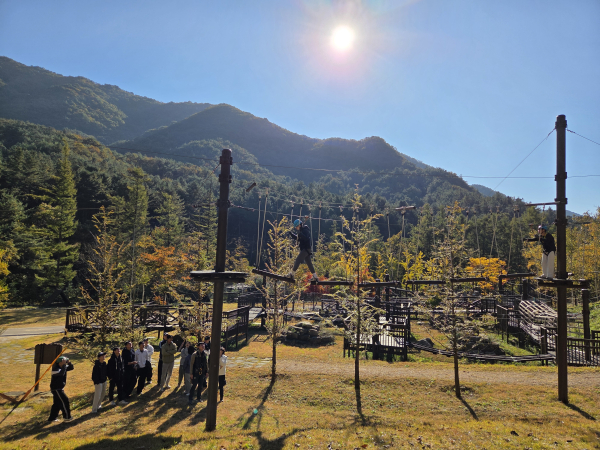 27일 국립춘천숲체원에 어드벤처 모험숲에서 참가자가 로프체험시설 11개의 장애물코스를 완수하고 있다.