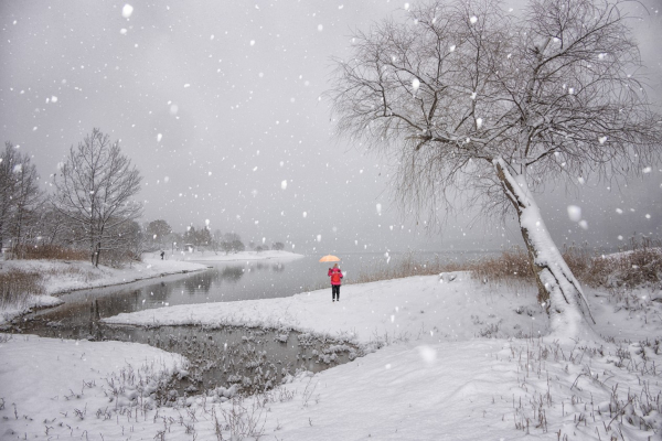 금상 :대청호의 겨울연가