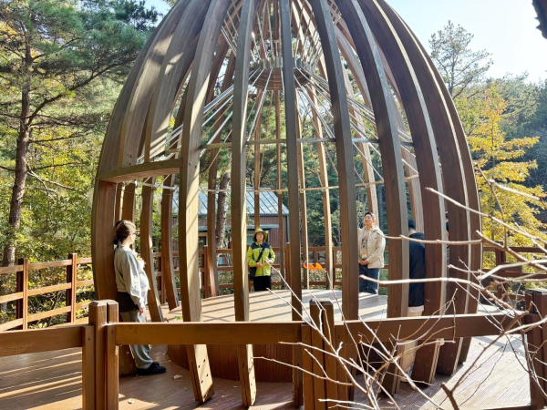 숲의 요소를 활용한 숲태교 프로그램에 참여하는 모습