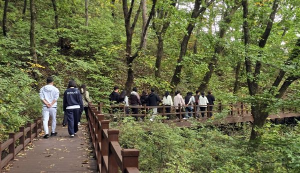 ‘한국도로교통공단’ 참가자들이 ‘숲 속 걷기’ 프로그램을 진행하고 있다.