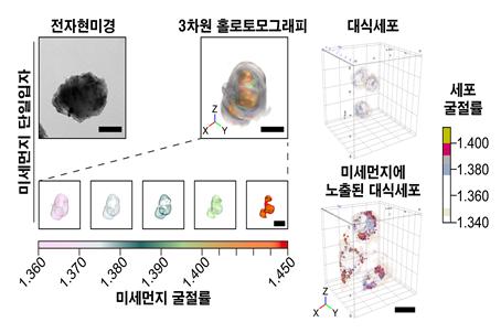 3차원 홀로토모그래피 활용 미세먼지 노출된 대식세포 확인