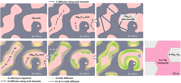 3차원 연속연결형 복합소재 구조 모식도. 철과 크롬(FeCr) 합금과 마그네슘(Mg) 3차원 복합구조에 Y(이트륨) 또는 Al(알루미늄)을 첨가하여 계층적 구조를 추가 생성했다.