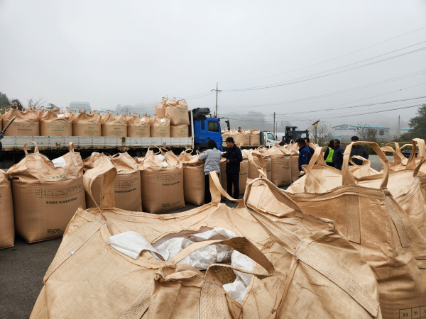 공공비축미곡 매입 현장 모습