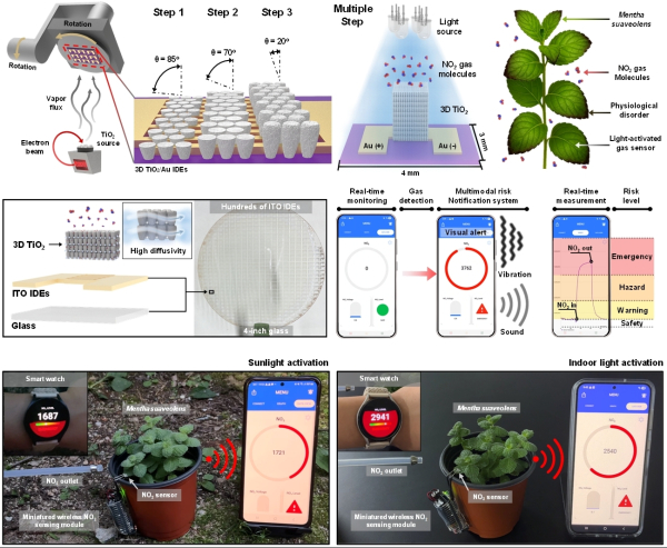심영석 교수 연구팀이 개발한 광활성 기반 스마트 센서 시스템 개요.
