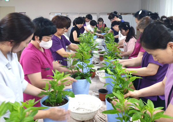 성거읍 복지회관에서 어르신들이 원예치료를 받고 있다.