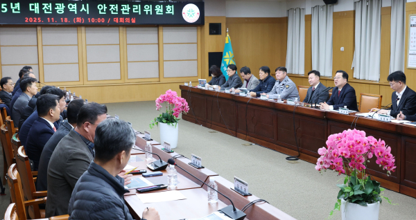 3. 대전시“대규모 불꽃축제 시민 안전 최우선”2