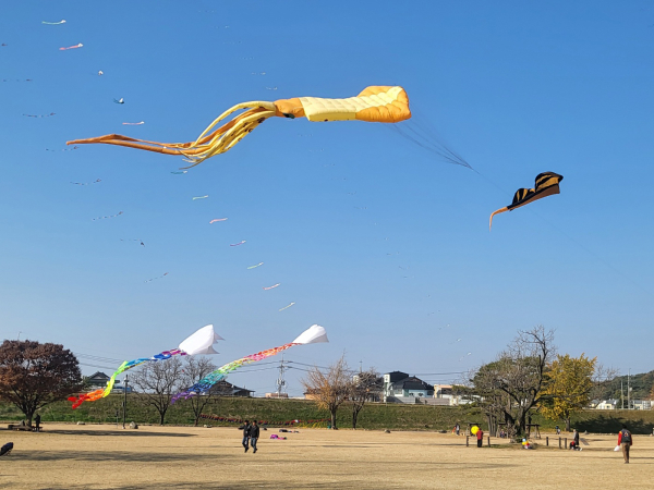 지난해 11월 23일 해미읍성에서 열린 제8회 서산해미읍성 연날리기 대회 진행 모습