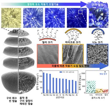 3D 고밀도 아민 밀리캡슐(DMC)의 내부 기공구조의 곡률에 따른 제어된 결정형성 메커니즘