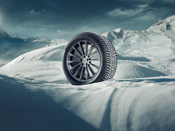 윈터 아이셉트 에보3 X