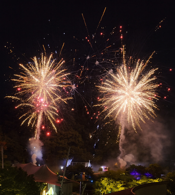 오월드 불꽃쇼가 플라워랜드에서 터지고 있다.