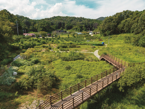 세종고복자연공원 내에 조성된 호랑나비 서식처