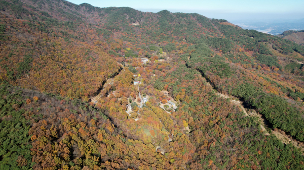 오서산 자연휴양림 전경