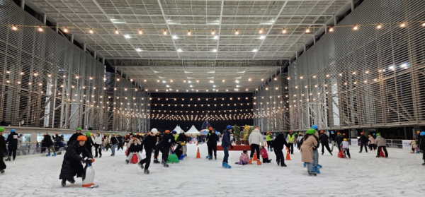 지난해 ‘꿈돌이 야외스케이트장’ 운영 모습