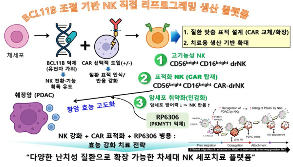 BCL11B 기반 직접 리프로그래밍을 이용한 drNK 생산 및 활용 전략