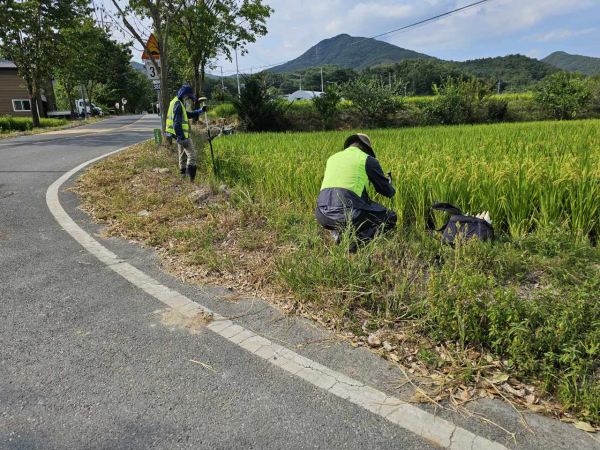 사업지구 현장 말목 설치 사진