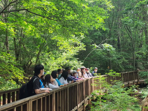 국립산림치유원에서 진행한 국가 재난 피해자 대상 산림치유프로그램 운영 모습