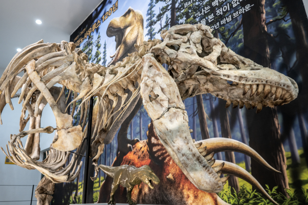 아시아의 티라노사우루스라 불리는 ‘타르보사우루스’ 전신 골격 복제 표본