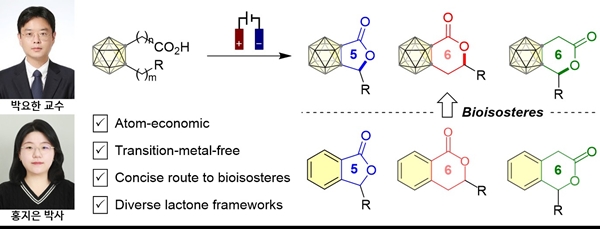 충남대 박요한 교수팀 및 연구 피규어